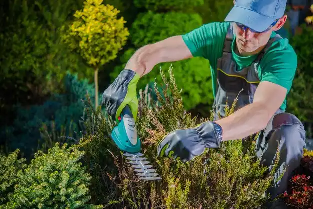 landscaping services Shokan